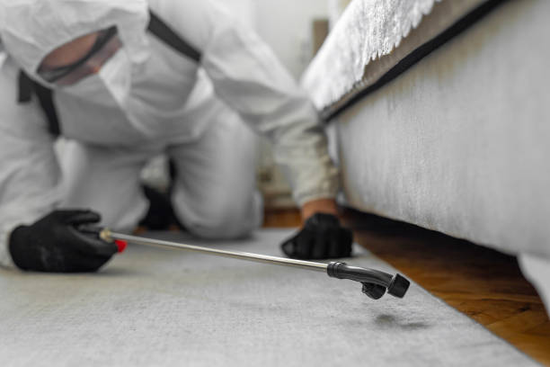 Professional Termite Control technician working in Buckingham, FL