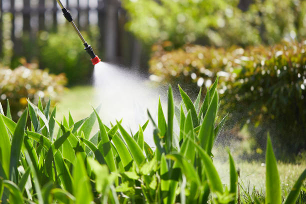 24/7 Emergency Termite Control experts in Buckingham, FL